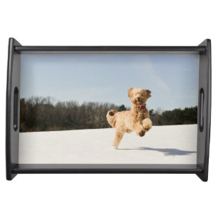 Goldendoodle Running Through Field Serving Tray