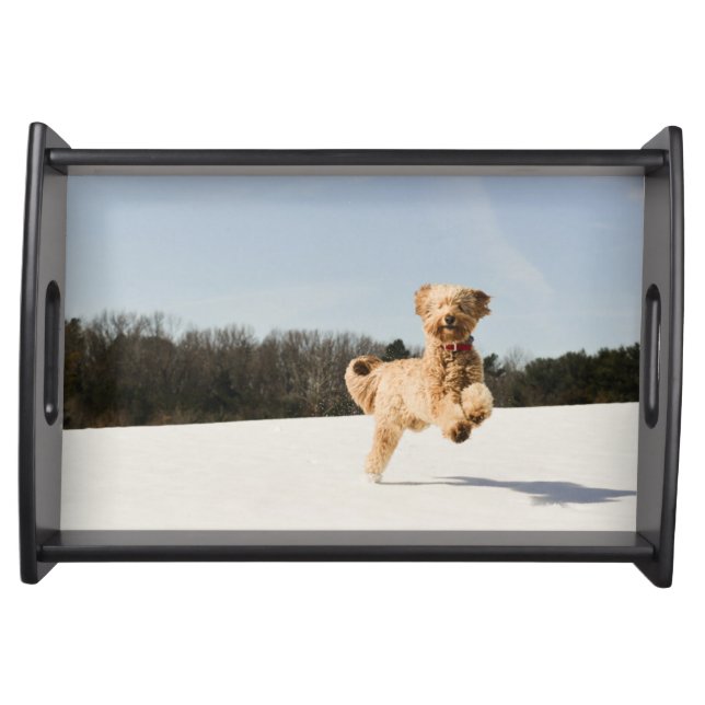Goldendoodle Running Through Field Serving Tray (Front)