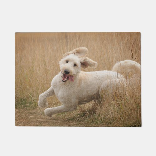 Goldendoodle Runs Through Grass Doormat