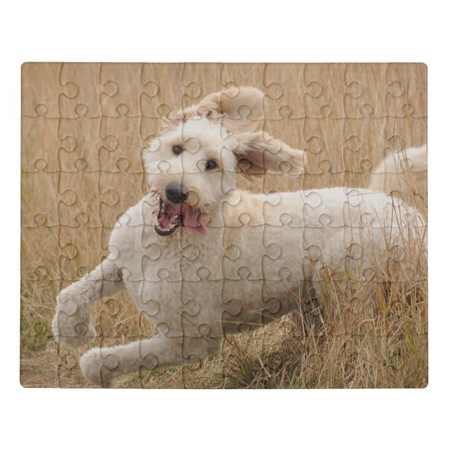 Goldendoodle Runs Through Grass Jigsaw Puzzle (Puzzle Horizontal)
