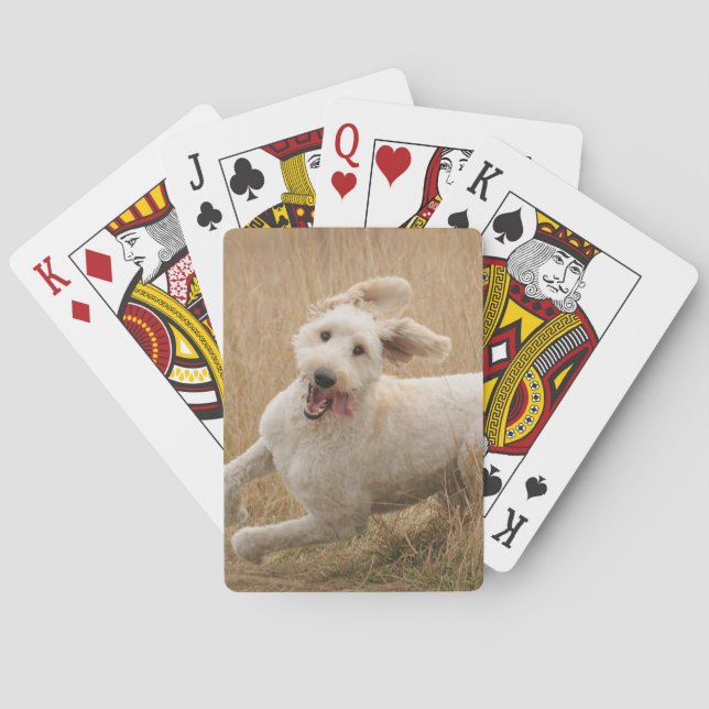 Goldendoodle Runs Through Grass Poker Cards (Back)