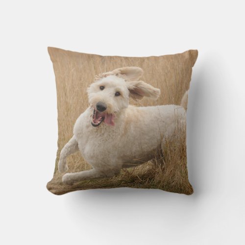 Goldendoodle Runs Through Grass Throw Pillow