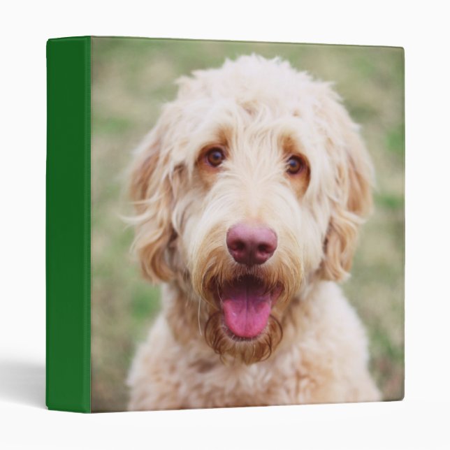 Goldendoodle Smiling 3 Ring Binder (Front/Spine)
