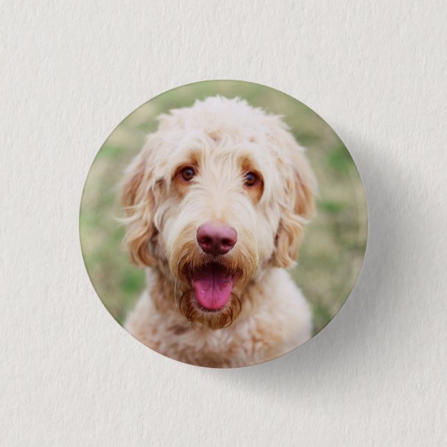 Goldendoodle Smiling Button (Front)
