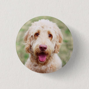 Goldendoodle Smiling Button