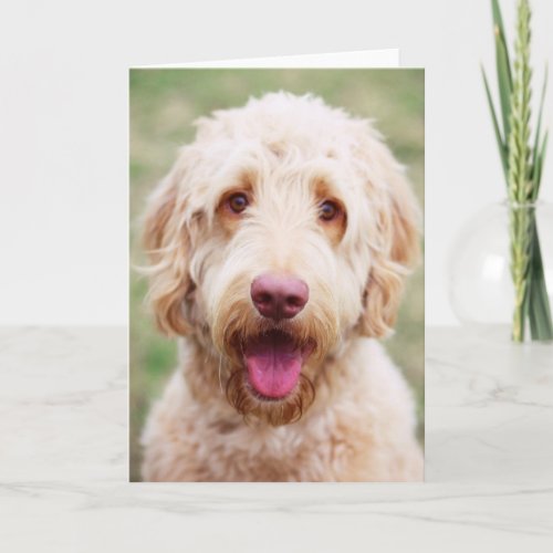 Goldendoodle Smiling Card