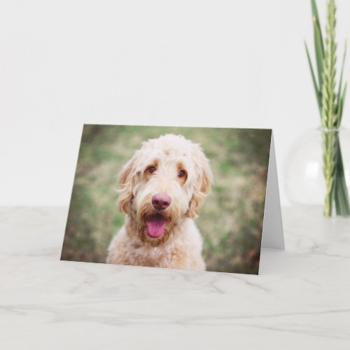 Goldendoodle Smiling Card