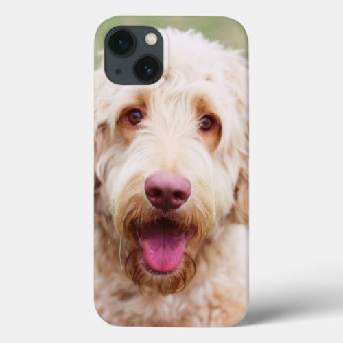 Goldendoodle Smiling iPhone 13 Case