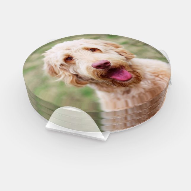 Goldendoodle Smiling Coaster Set (Set)