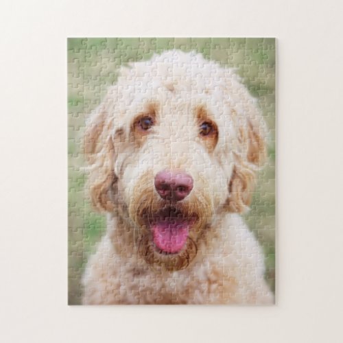 Goldendoodle Smiling Jigsaw Puzzle
