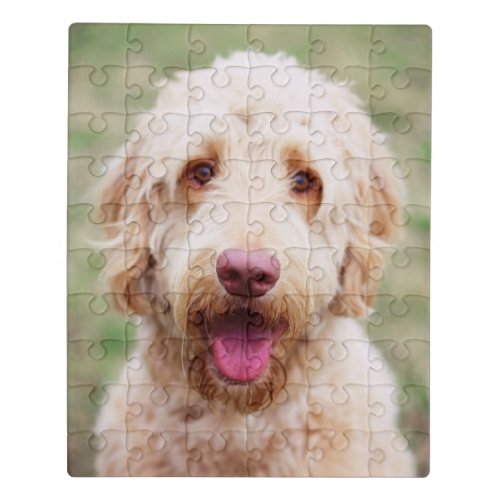 Goldendoodle Smiling Jigsaw Puzzle