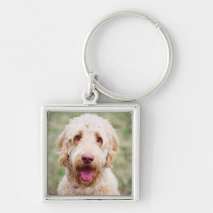 Goldendoodle Smiling Keychain