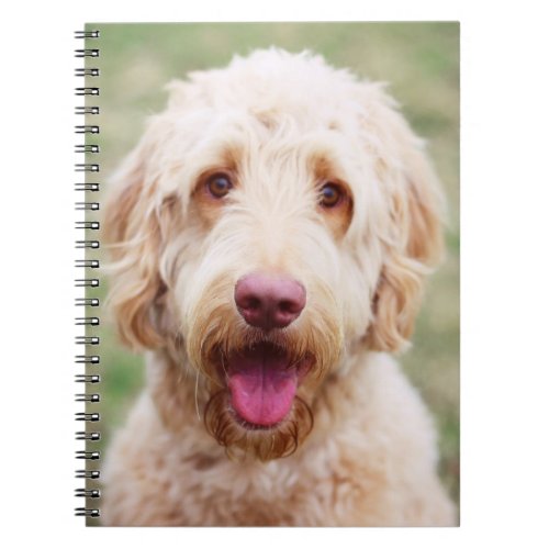 Goldendoodle Smiling Notebook