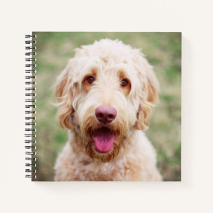 Goldendoodle Smiling Notebook