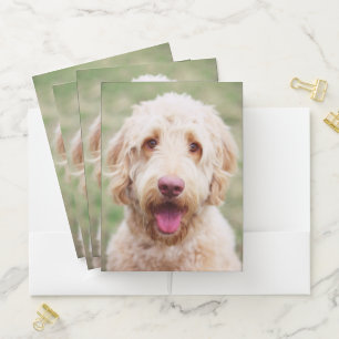 Goldendoodle Smiling Pocket Folder