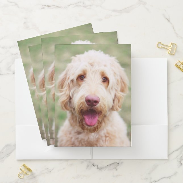 Goldendoodle Smiling Pocket Folder (In Situ)