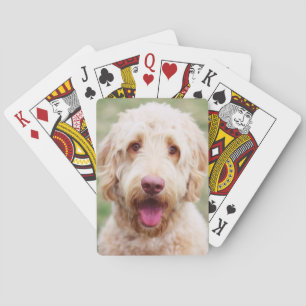 Goldendoodle Smiling Poker Cards