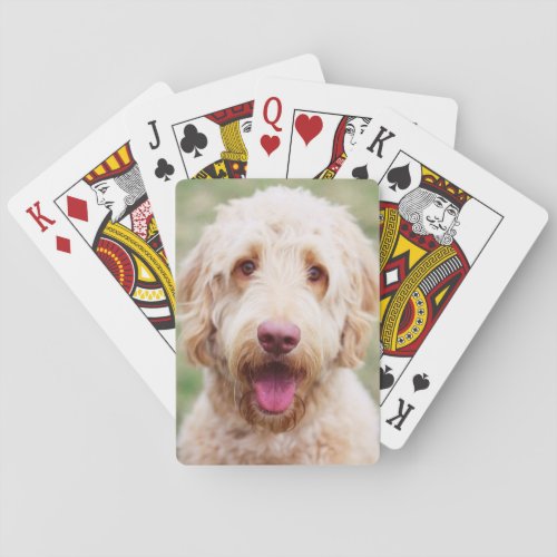 Goldendoodle Smiling Poker Cards