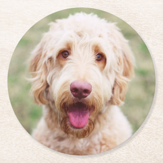 Goldendoodle Smiling Round Paper Coaster (Front)