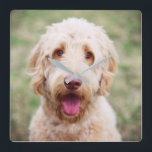 Goldendoodle Smiling Square Wall Clock<br><div class="desc">Up close shot of a goldendoodle smiling. Designer dog,  golden retriever and poodle.</div>