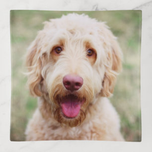 Goldendoodle Smiling Trinket Tray
