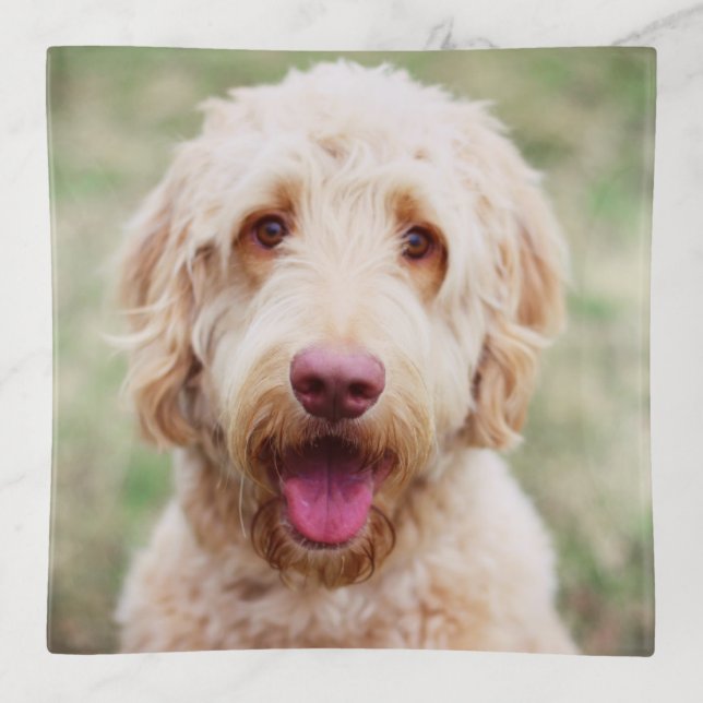 Goldendoodle Smiling Trinket Tray (Front)