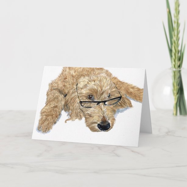 Goldendoodle Cards Zazzle