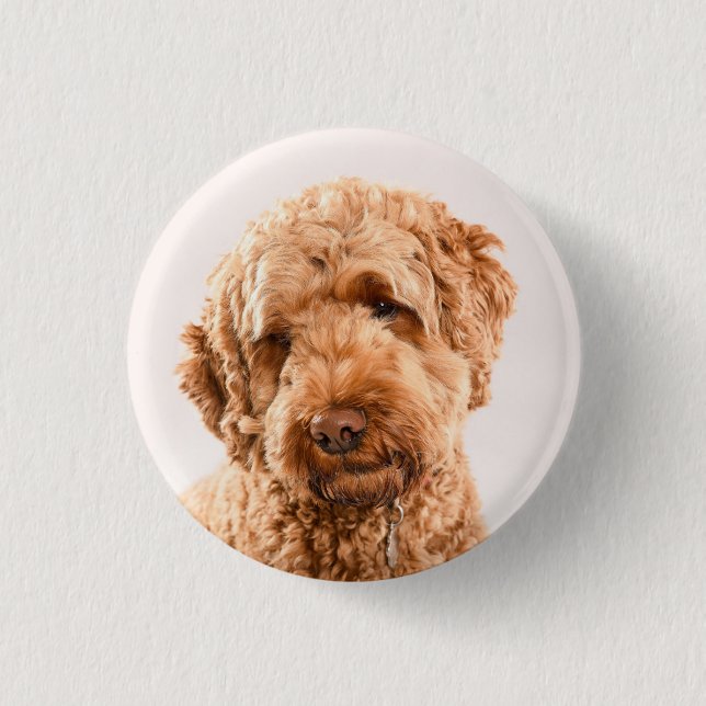 Goldendoodle Studio Portrait Button (Front)