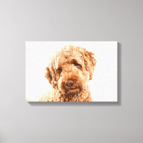 Goldendoodle Studio Portrait Canvas Print