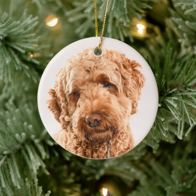 Goldendoodle Studio Portrait Ceramic Ornament (Tree)