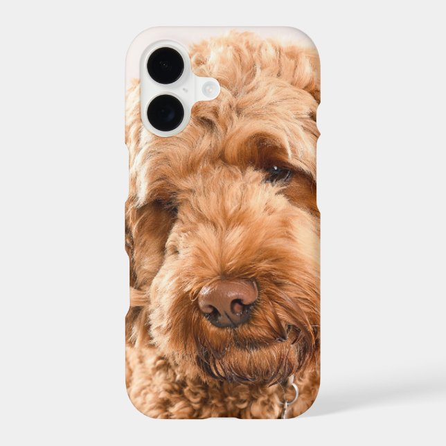 Goldendoodle Studio Portrait Iphone Case (Back)