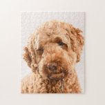 Goldendoodle Studio Portrait Jigsaw Puzzle<br><div class="desc">A studio portrait of a golden doodle  dog looking at the camera.</div>
