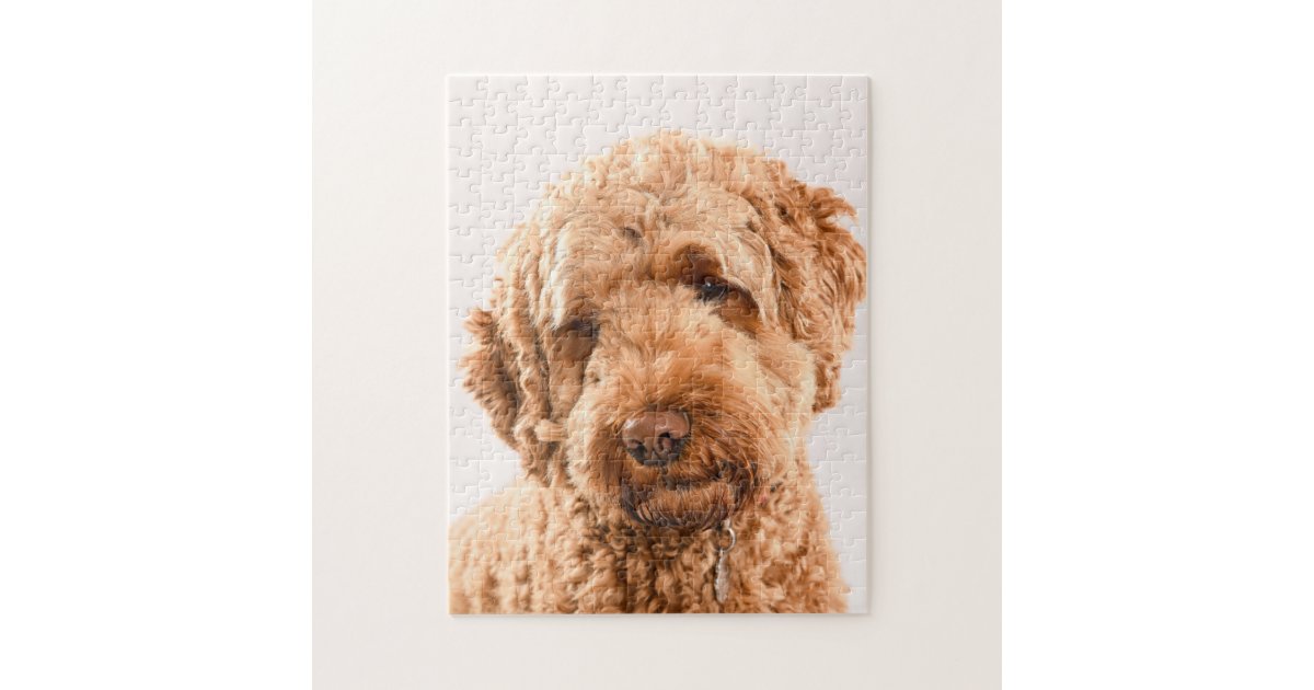 Golden Doodle Dog - Jigsaw Puzzle