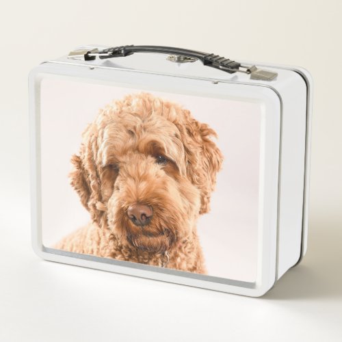 Goldendoodle Studio Portrait Metal Lunch Box