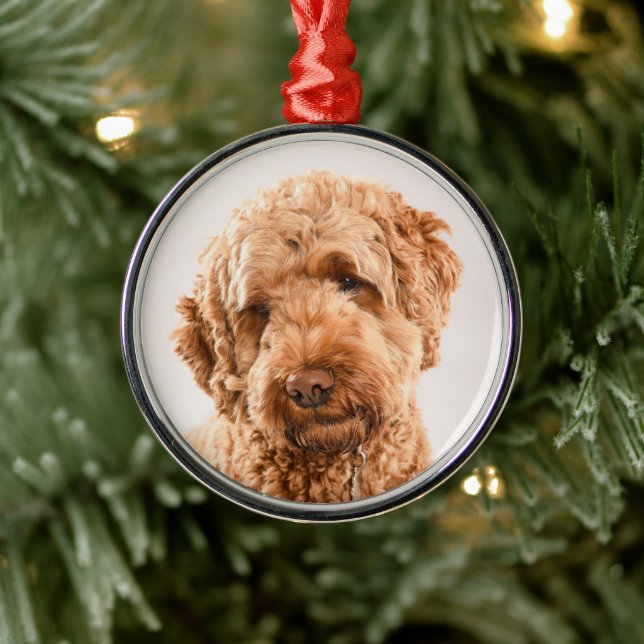 Goldendoodle Studio Portrait Metal Ornament (Tree)