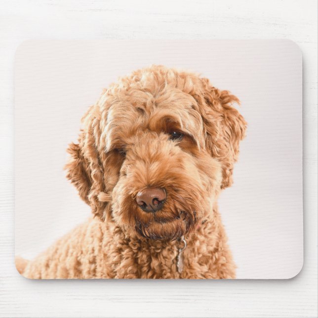 Goldendoodle Studio Portrait Mouse Pad (Front)