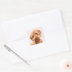 Goldendoodle Studio Portrait Square Sticker