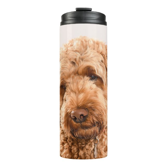 Goldendoodle Studio Portrait Thermal Tumbler (Front)