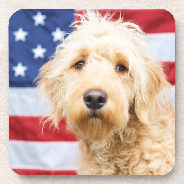 Goldendoodle With American Flag Beverage Coaster (Front)
