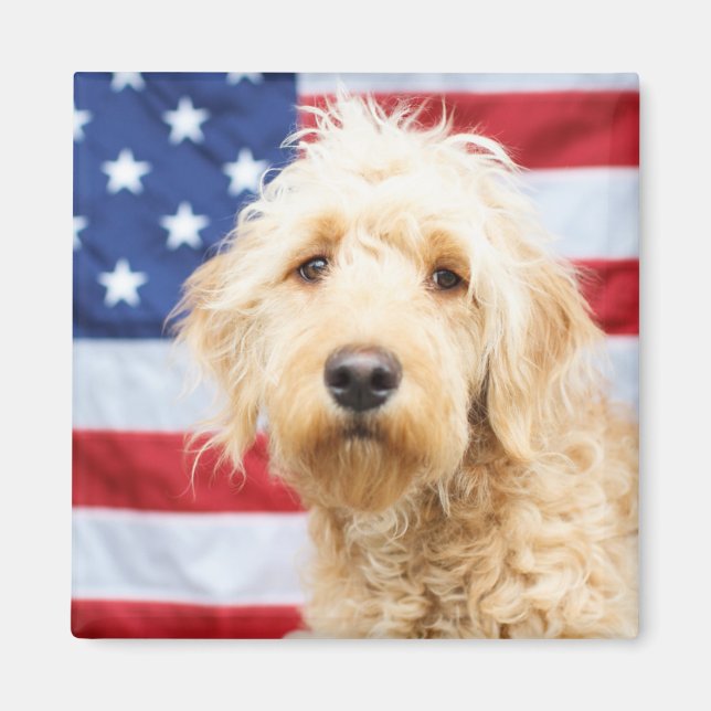 Goldendoodle With American Flag Magnet (Front)