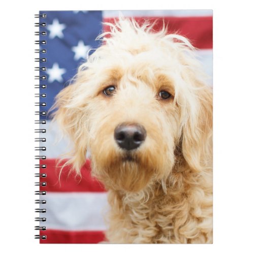 Goldendoodle With American Flag Notebook