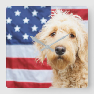 Goldendoodle With American Flag Square Wall Clock