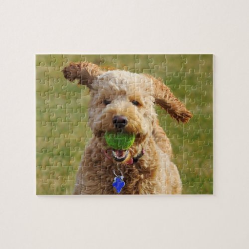 Goldendoodle with Ball Jigsaw Puzzle