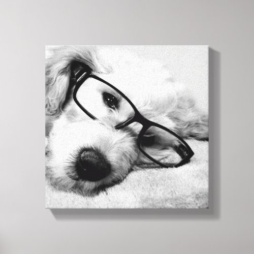 Goldendoodle With Glasses Canvas Print