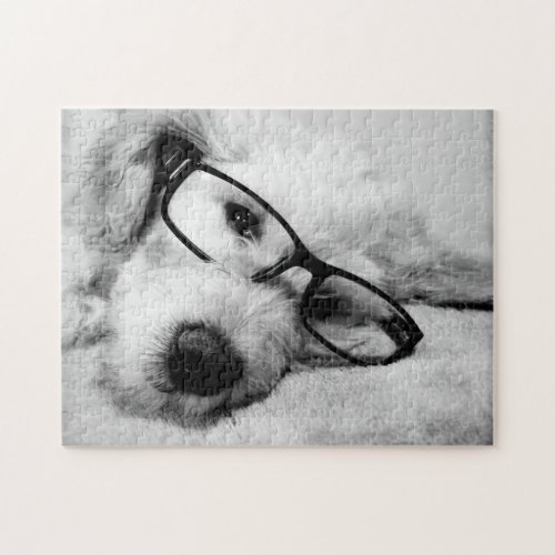 Goldendoodle With Glasses Jigsaw Puzzle