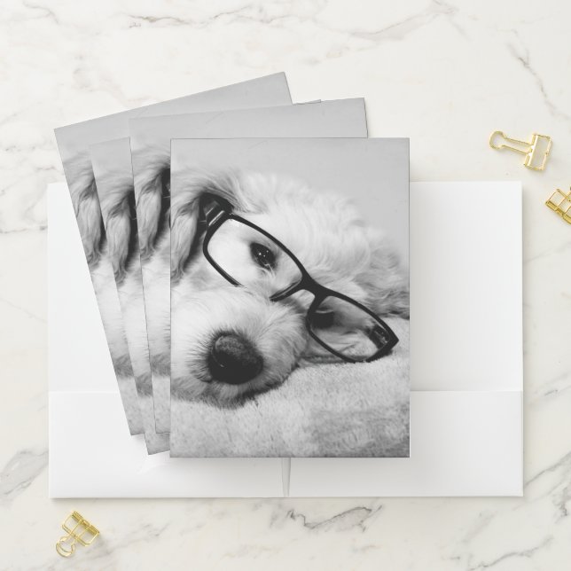 Goldendoodle With Glasses Pocket Folder (In Situ)