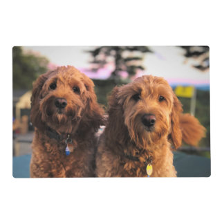 Goldendoodles and a Brittany Placemat