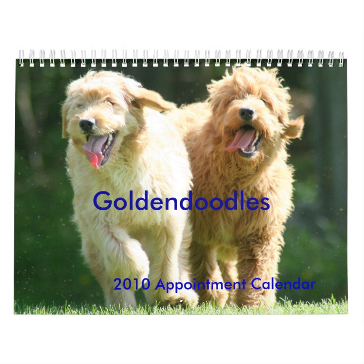 Goldendoodles Calendar Zazzle