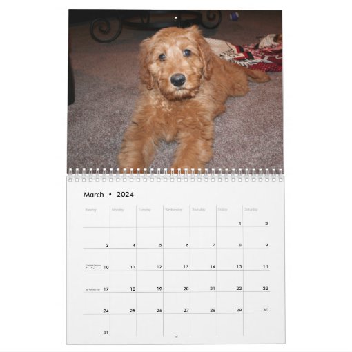 Goldendoodle Calendar 2025 Lok Rois Kathlin