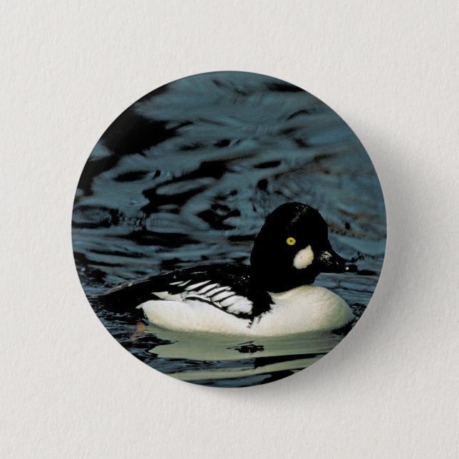 Goldeneye Duck Pinback Button (Front)
